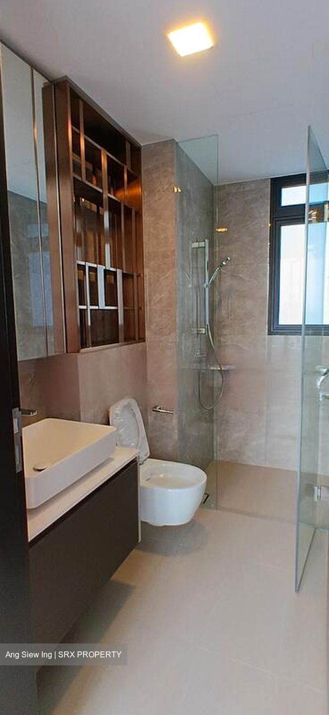 Irwell Hill Residences (D9), Apartment #458136461